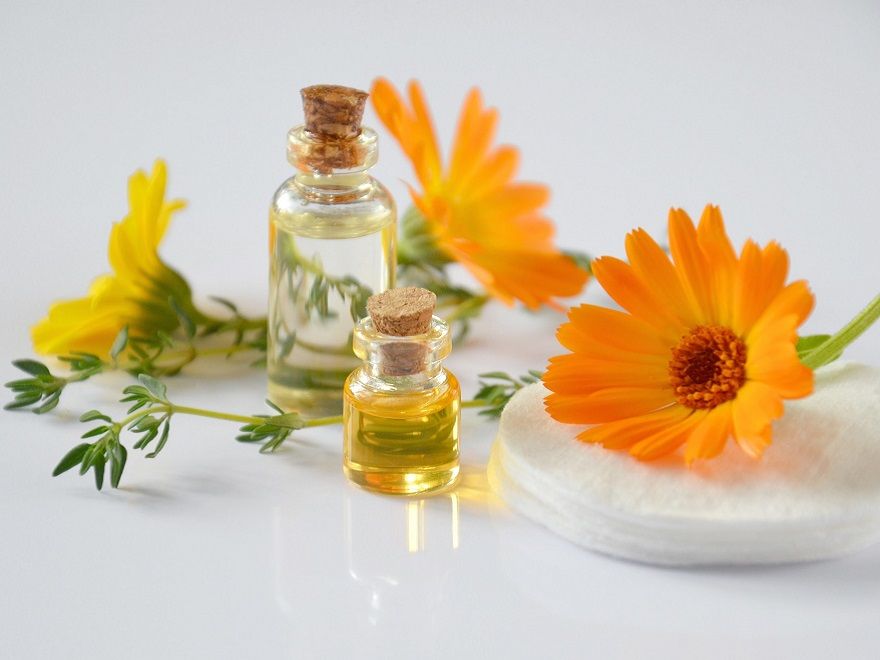 caléndula Las 7 plantas antimosquitos más efectivas del mercado - Fotocasa Life - calor, hogar, Plantas, Verano - Inspiración - La subida de las temperaturas conlleva siempre la llegada de mosquitos. Estos pequeños insectos suelen resultar muy incómodos, tanto si estamos al aire libre como dentro de nuestra casa. Sin embargo, existen diversas formas de evitarlos de manera natural, como las plantas antimosquitos o las velas repelentes.