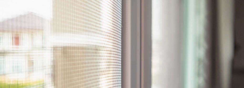5 trucos para mantener la casa libre de mosquitos