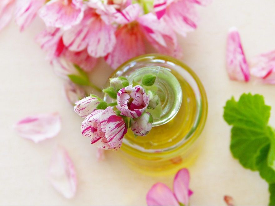 geranio limón Las 7 plantas antimosquitos más efectivas del mercado - Fotocasa Life - calor, hogar, Plantas, Verano - Inspiración - La subida de las temperaturas conlleva siempre la llegada de mosquitos. Estos pequeños insectos suelen resultar muy incómodos, tanto si estamos al aire libre como dentro de nuestra casa. Sin embargo, existen diversas formas de evitarlos de manera natural, como las plantas antimosquitos o las velas repelentes.