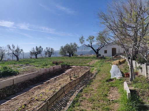 Volviendo a los orígenes: así es vivir en un pueblo en el siglo XXI img987