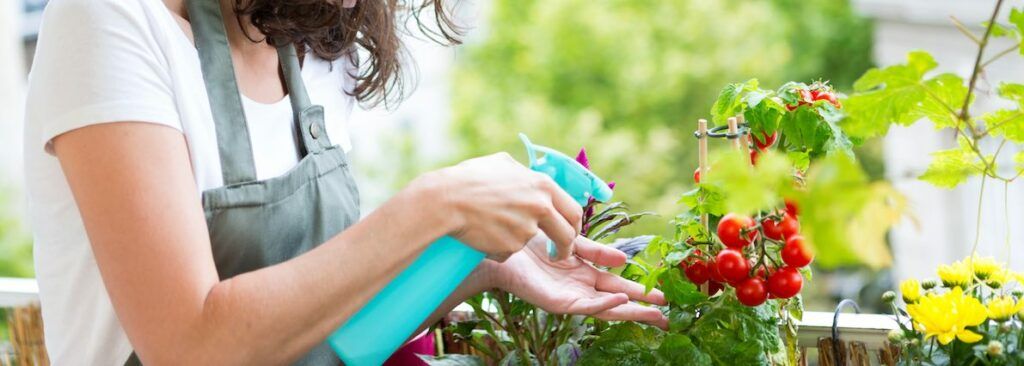 Las 5 cosas que debes conocer para hacer un huerto en la terraza