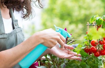 Las 5 cosas que debes conocer para hacer un huerto en la terraza