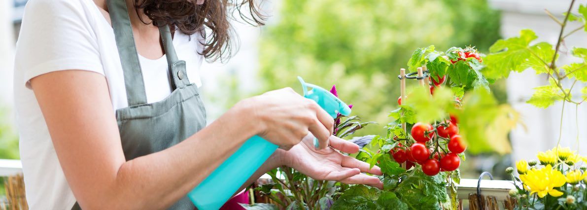 Las 5 cosas que debes conocer para hacer un huerto en la terraza