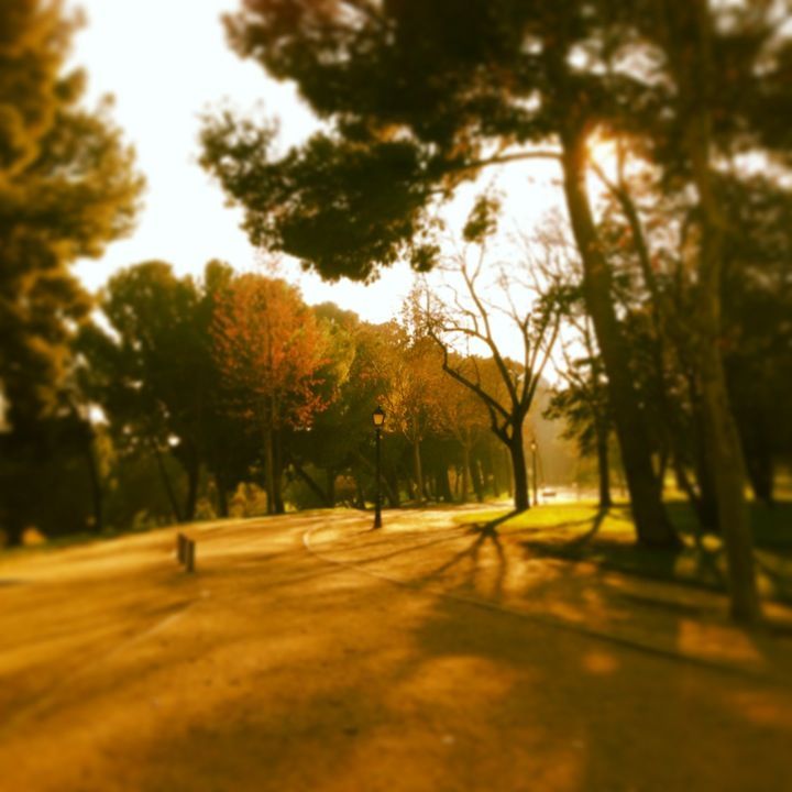 Los barrios más baratos de Madrid que no te puedes perder img838