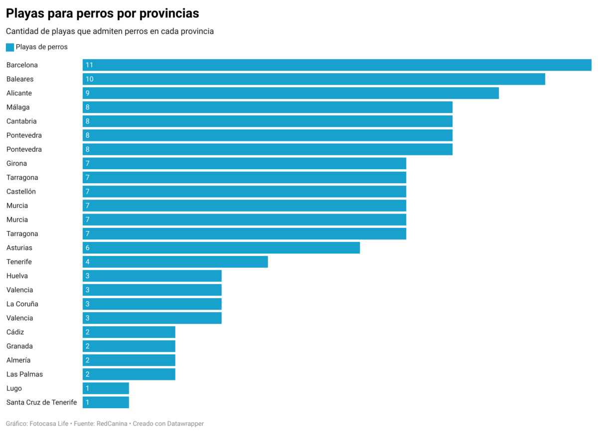 Playas para perros en españa