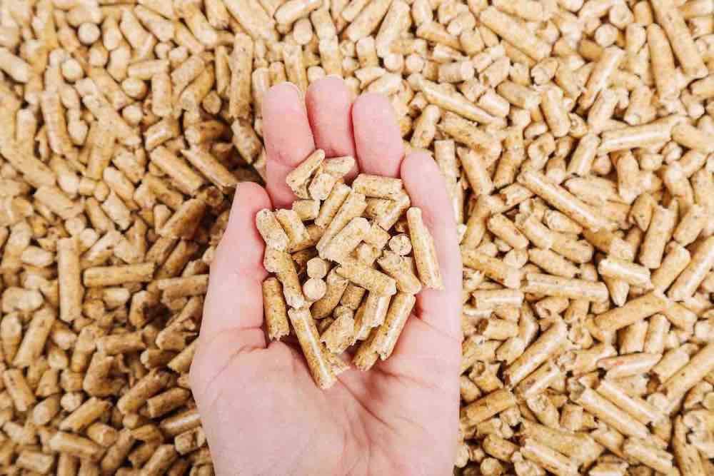 ¿Conoces las estufas de pellets? img661