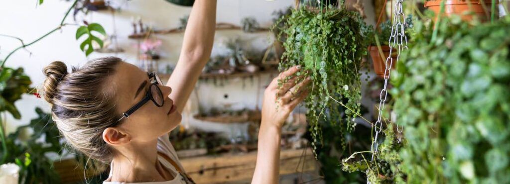 5 plantas purificadoras del aire de nuestra casa