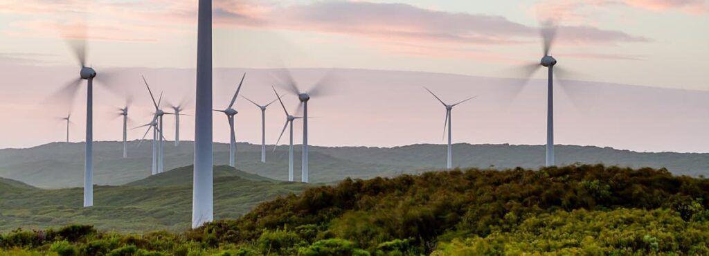 Energías renovables: la mejor alternativa para  ahorrar en la factura de la luz