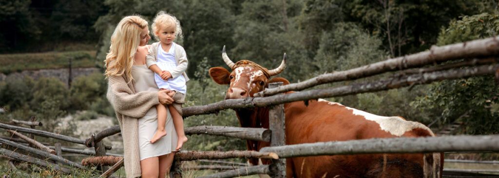Qué tener en cuenta si quieres comprar una casa de pueblo en la España rural