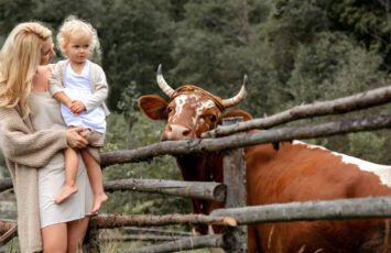 Qué tener en cuenta si quieres comprar una casa de pueblo en la España rural