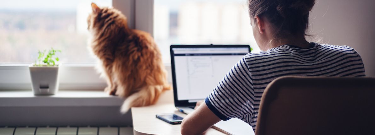 Fotocasa y TRIOTECA ponen en marcha el primer marketplace hipotecario conectado a los bancos