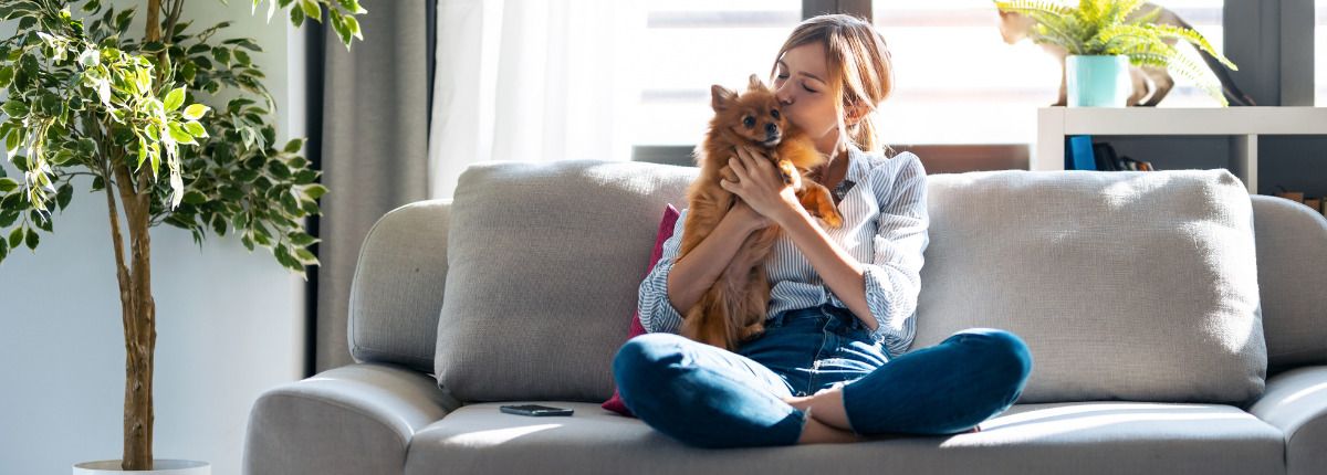 Consejos para que los perros con miedo a los ruidos no sufran durante las fiestas navideñas