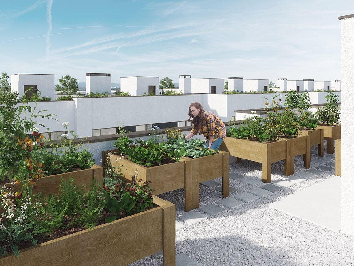 24 nuevas viviendas unifamiliares, ecoeficientes y con huerto urbano en Getafe por Libra Gestión de Proyectos img133