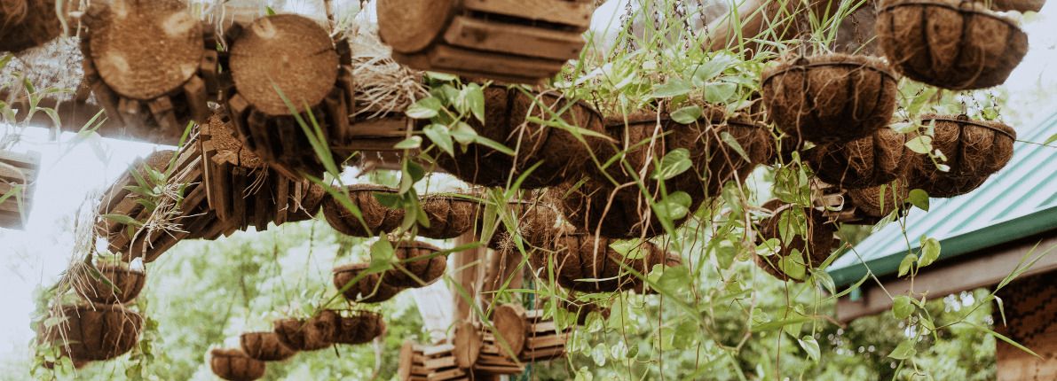 Diseño biofílico en vivienda: la nueva tendencia