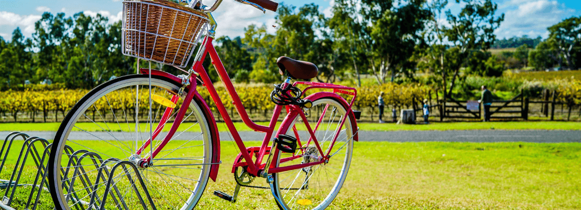Cuáles son los 5 mejores parques de España y por qué son tan importantes