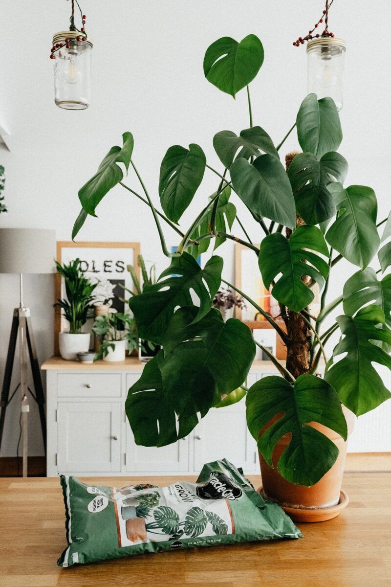 decorar con madera para un estilo mediterráneo
