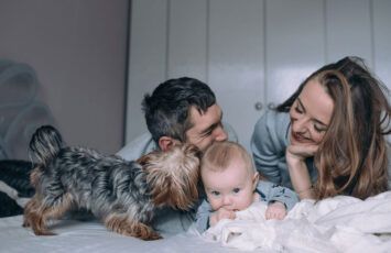 Las características de las casas que dan más felicidad a los españoles