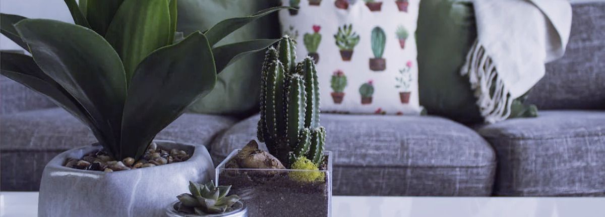 Dime qué horóscopo eres y te diré qué idea de decoración es para ti