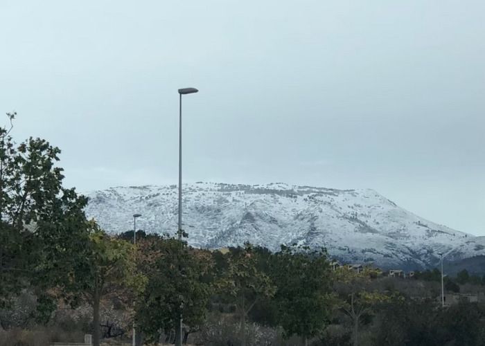 casa curiosa octubre