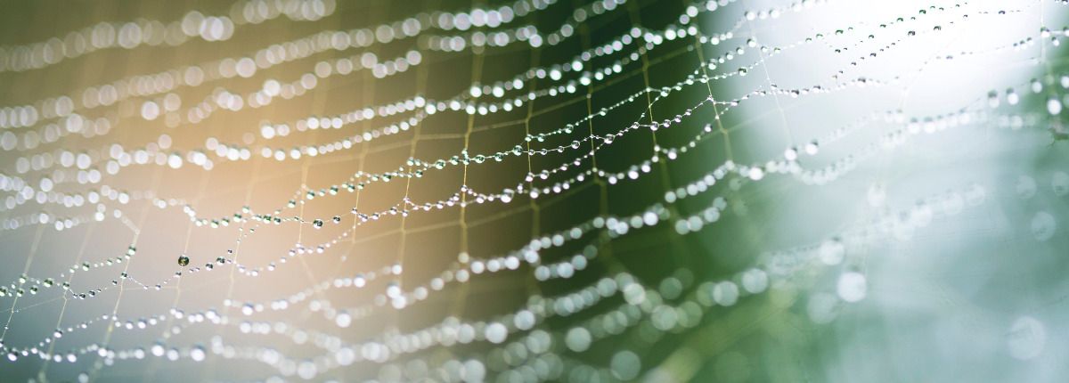 Cómo solucionar problemas de condensación en una vivienda