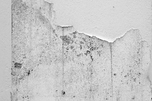 problemas de condensacion en casa