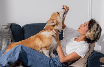 Solo un 4% de las viviendas en alquiler en España aceptan perros y gatos