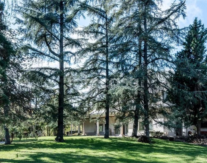 casa curiosa noviembre