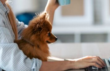 Cómo crear un despacho para teletrabajar en un piso pequeño