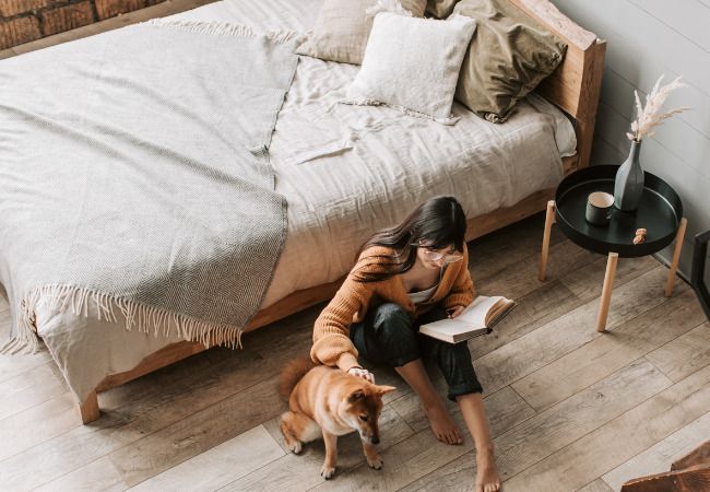 perros para pisos pequeños