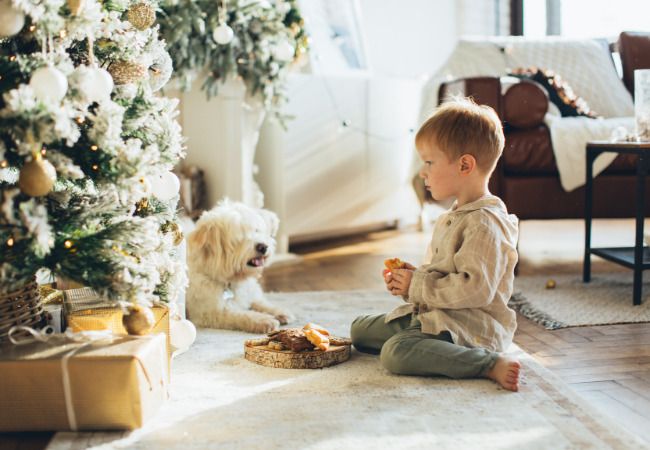 perros para pisos pequeños