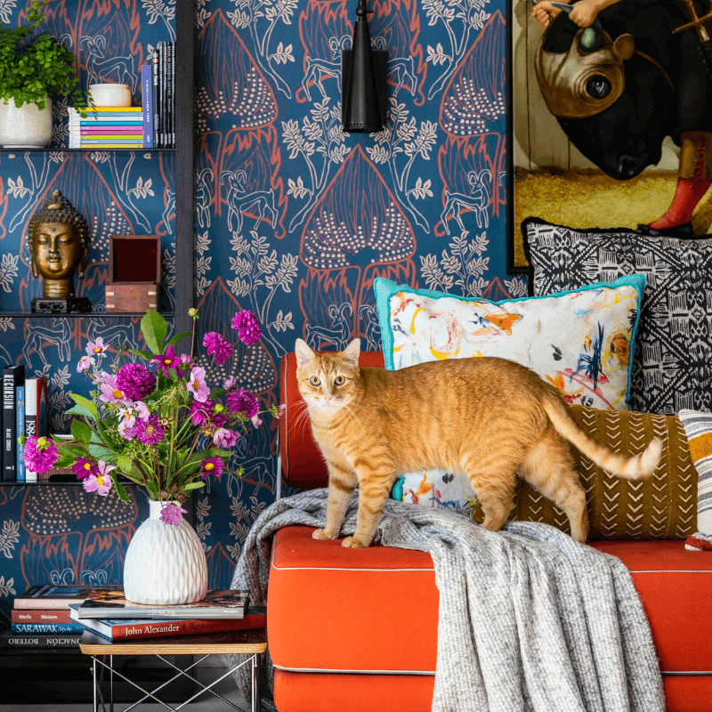 aceptar gatos en un piso de alquiler