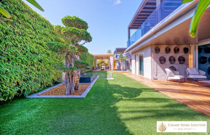 casa curiosa diciembre