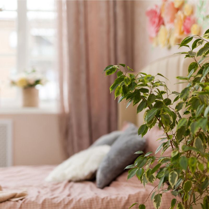 10 ideas low cost para renovar tu dormitorio y que parezca otro - Fotocasa Life renovar la habitación