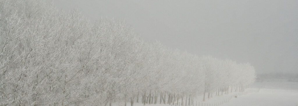 Reto ACNUR y Fotocasa: ayúdanos a hacer el invierno en los hogares de Ucrania un poco menos duro