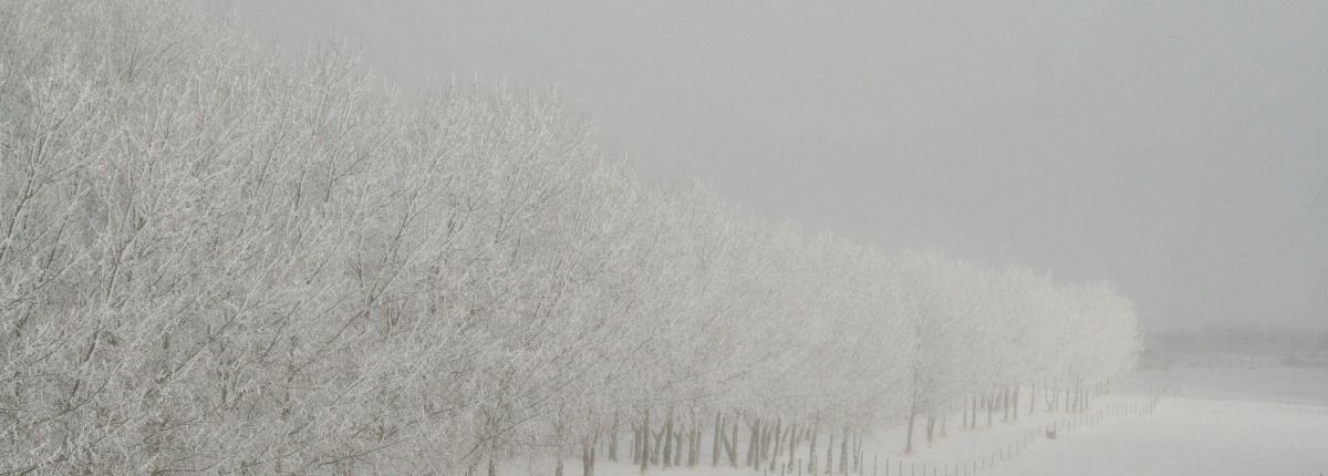 Reto ACNUR y Fotocasa: ayúdanos a hacer el invierno en los hogares de Ucrania un poco menos duro