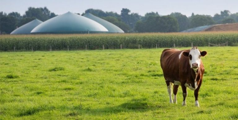 Calefacción sostenible con biogas