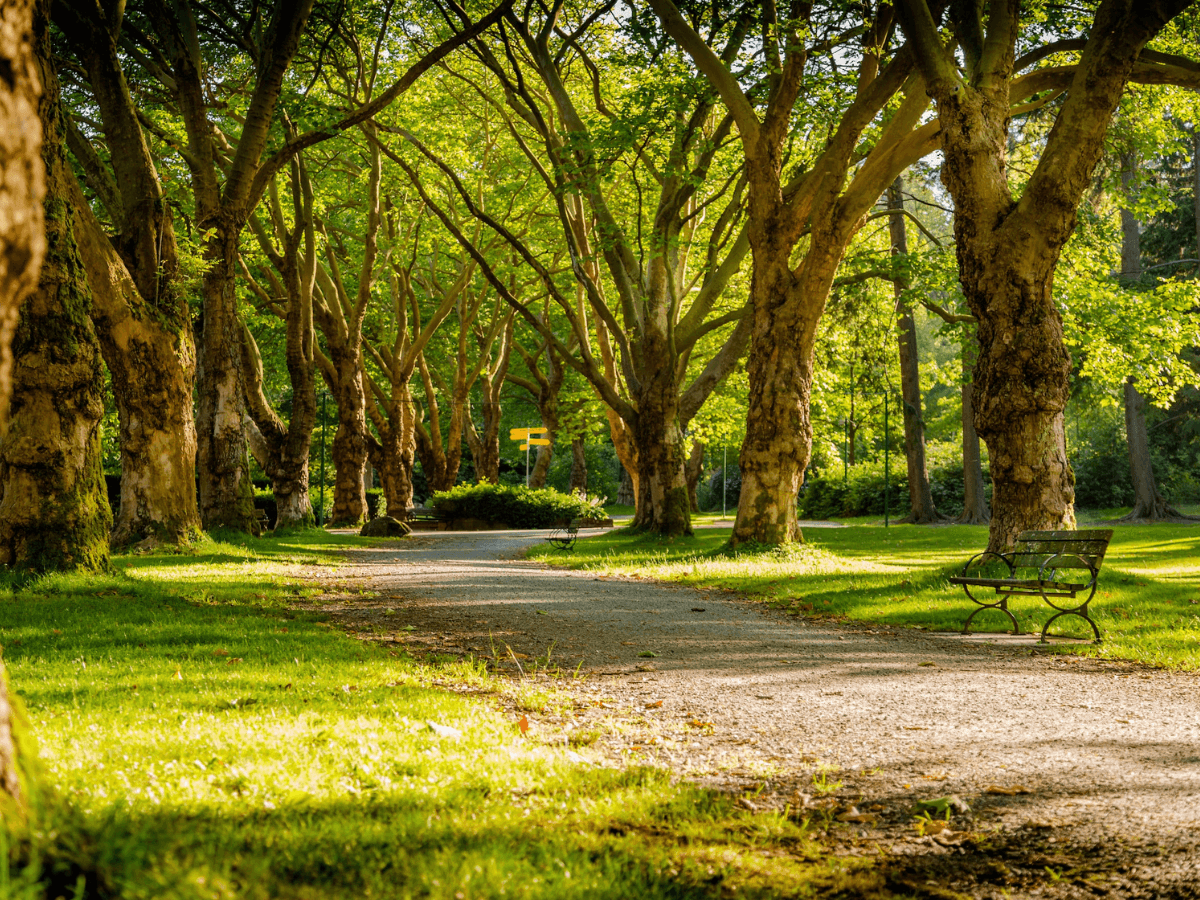 Las ciudades mejor diseñadas de España