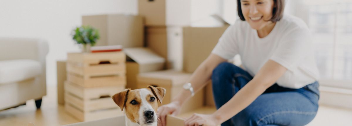 3 de cada 10 menores de 25 años han participado en el mercado del alquiler