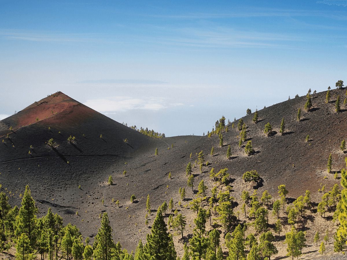 Edificar Isla de La Palma