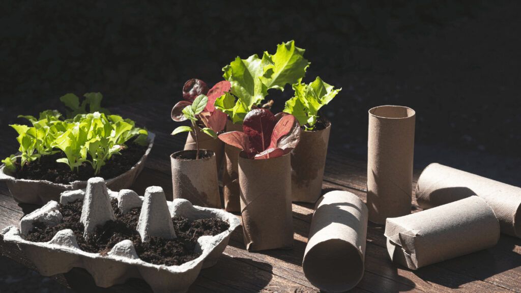 5 formas ingeniosas de reaprovechar residuos y botes en casa