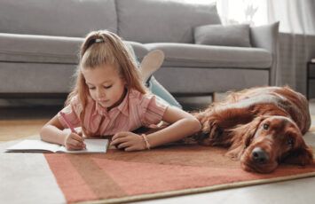 ¿Pueden echarme del piso de alquiler por tener un perro o un gato?