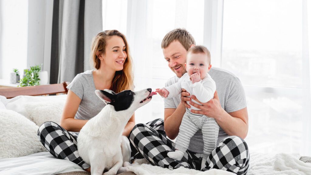 5 reformas para mejorar tu casa que valen realmente la pena