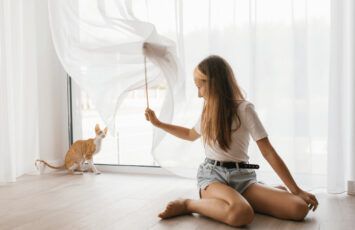 Cómo evitar que tu gato se escape a la casa del vecino