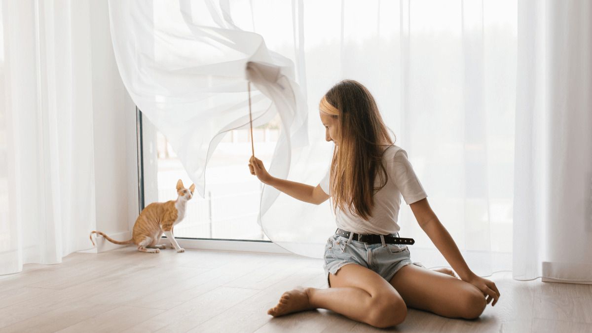 Cómo evitar que tu gato se escape a la casa del vecino