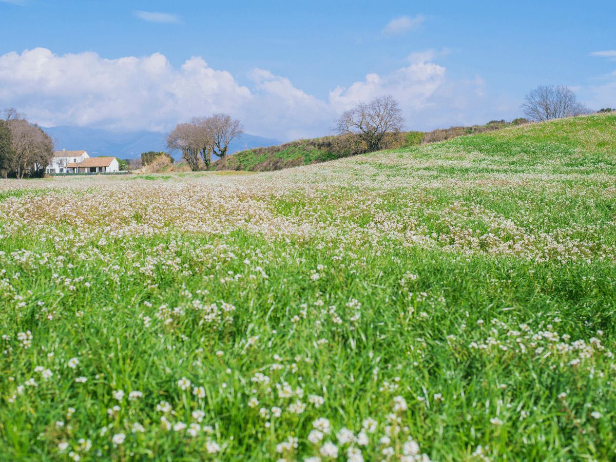 casas de pueblo a la venta en Fotocasa para reformar