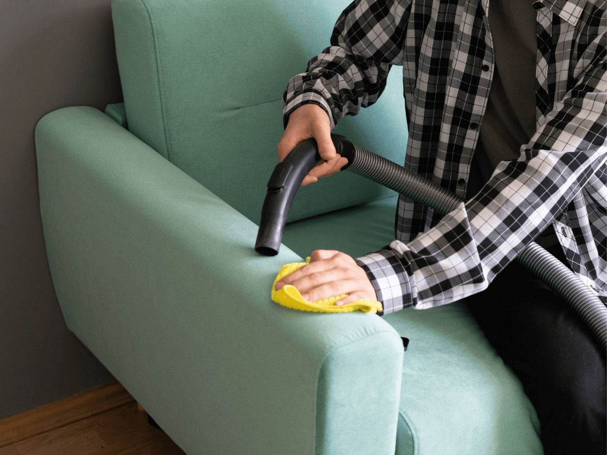tiktok limpieza sofa casa