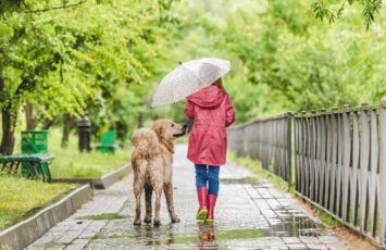 Barrios perfectos para vivir con perros