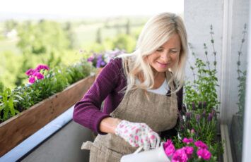 10 ideas de plantas para un balcón pequeño que aguantan bien el calor