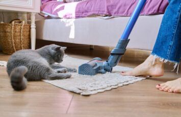 Trucos para vivienda para personas que sufren alergias