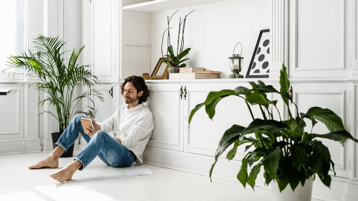 La economía de vivir solo